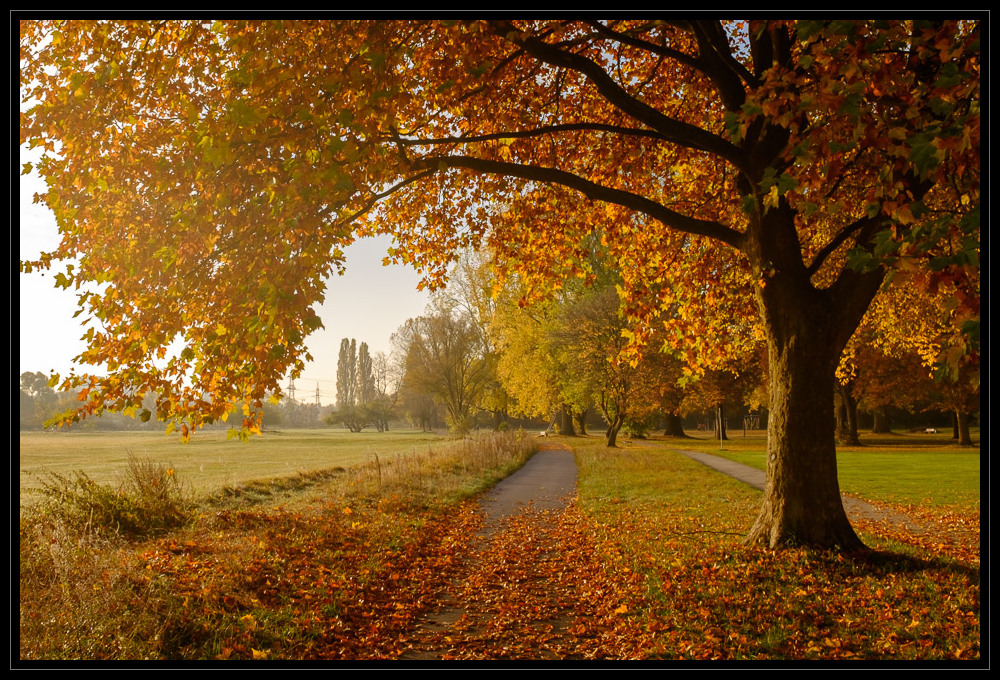 Herbstmorgen im Wiesengrund