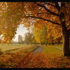 Herbstmorgen im Wiesengrund