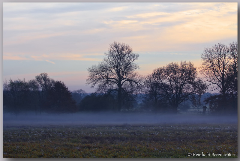 Herbstmorgen im Winkel