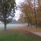 Herbstmorgen in Celle