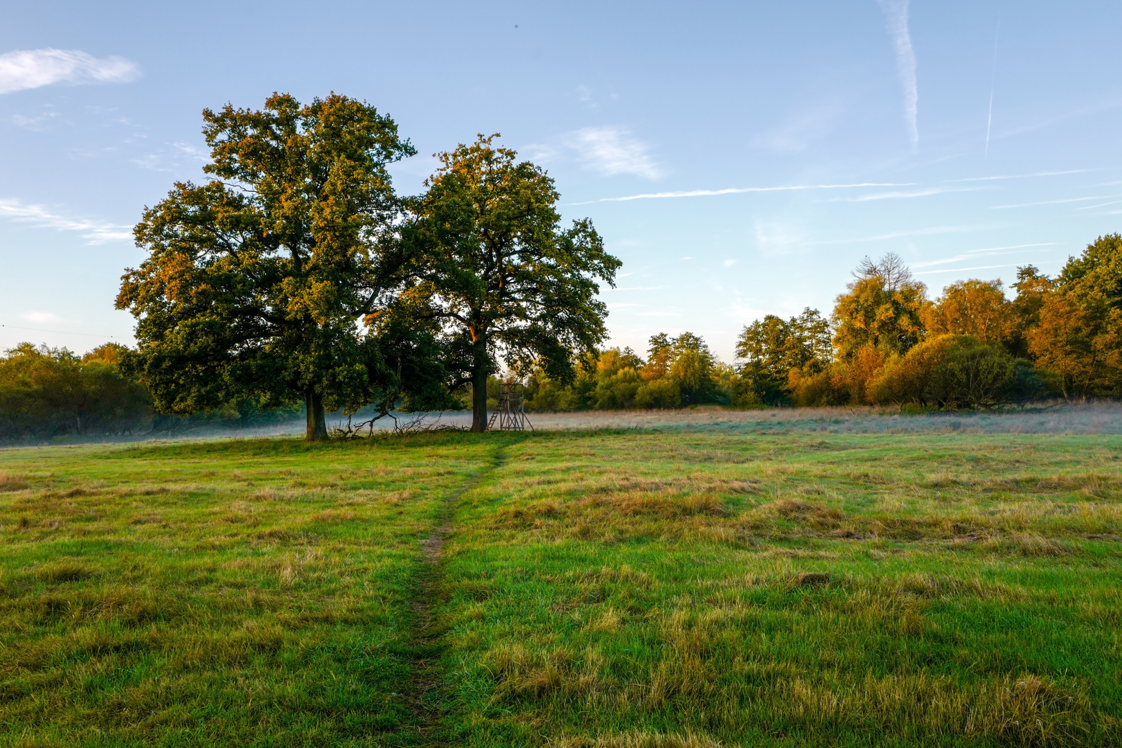 Herbstmorgen in den Aggerauen