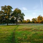 Herbstmorgen in den Aggerauen