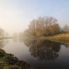 Herbstmorgen in den Oderauen