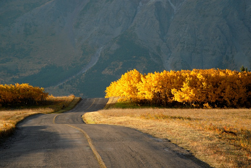 Herbstmorgen in den Rockies