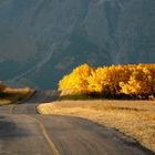 Herbstmorgen in den Rockies