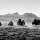 Herbstmorgen in den Voralpen - 3