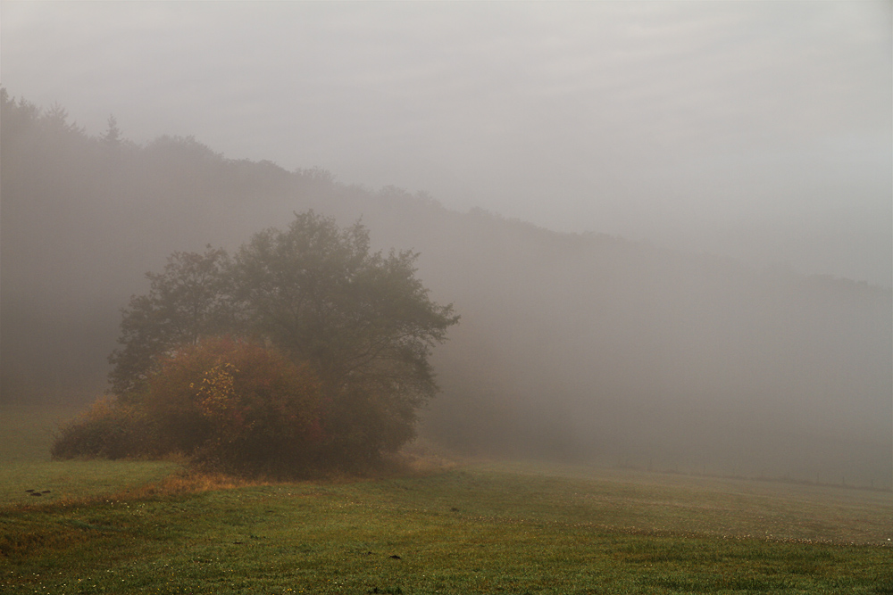 Herbstmorgen in der Eifel