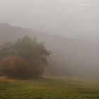 Herbstmorgen in der Eifel