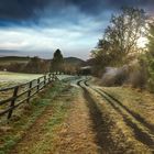 Herbstmorgen in der Eifel