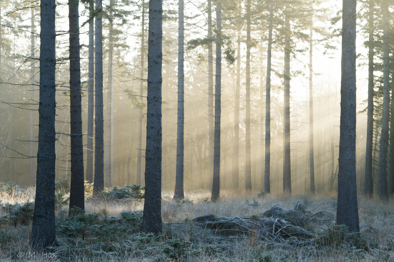 Herbstmorgen in der Eifel