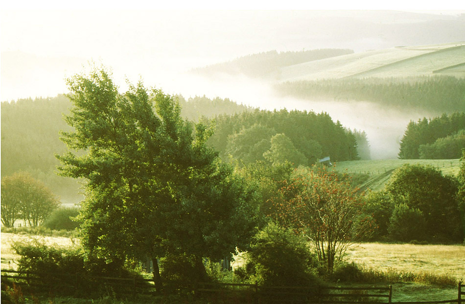 Herbstmorgen in der Eifel