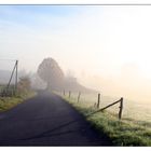 Herbstmorgen in der Eifel