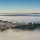 *Herbstmorgen in der Eifel-Toskana @ Panorama*