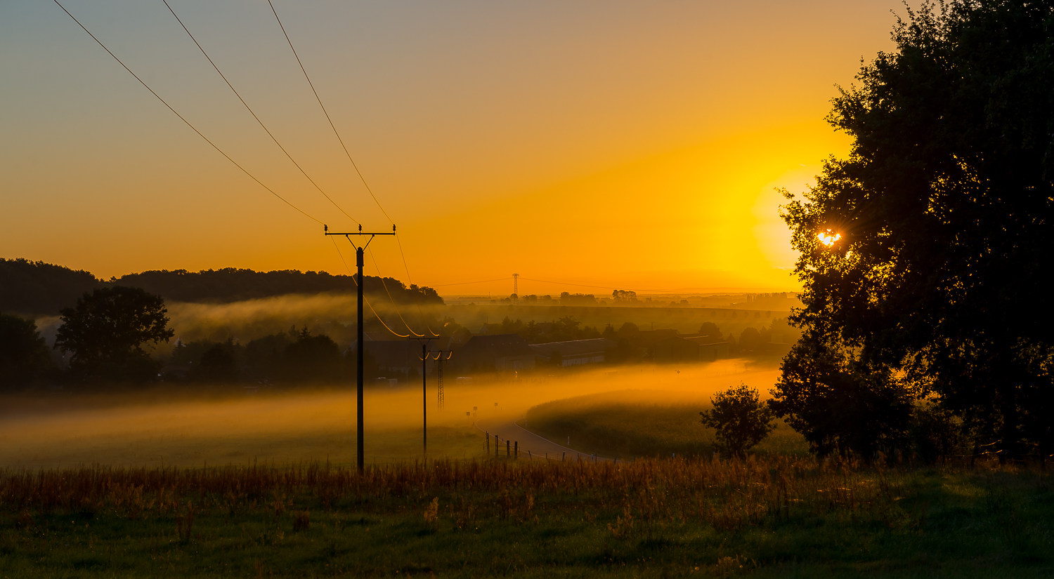 Herbstmorgen in der Heide