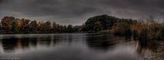 Herbstmorgen in der Lobau III