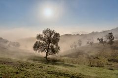 *Herbstmorgen in der Moseleifel*