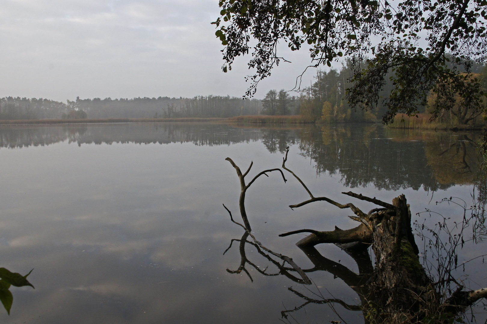 Herbstmorgen in der Oberlausitzer Heide-und Teichlandschaft