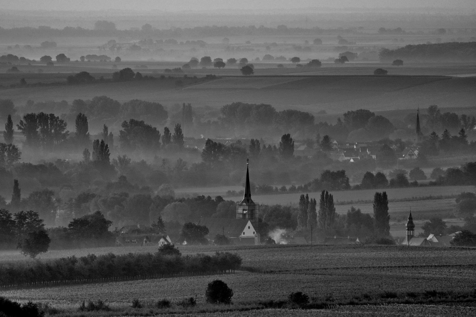 Herbstmorgen in der Pfalz