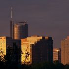 herbstmorgen in der stadt