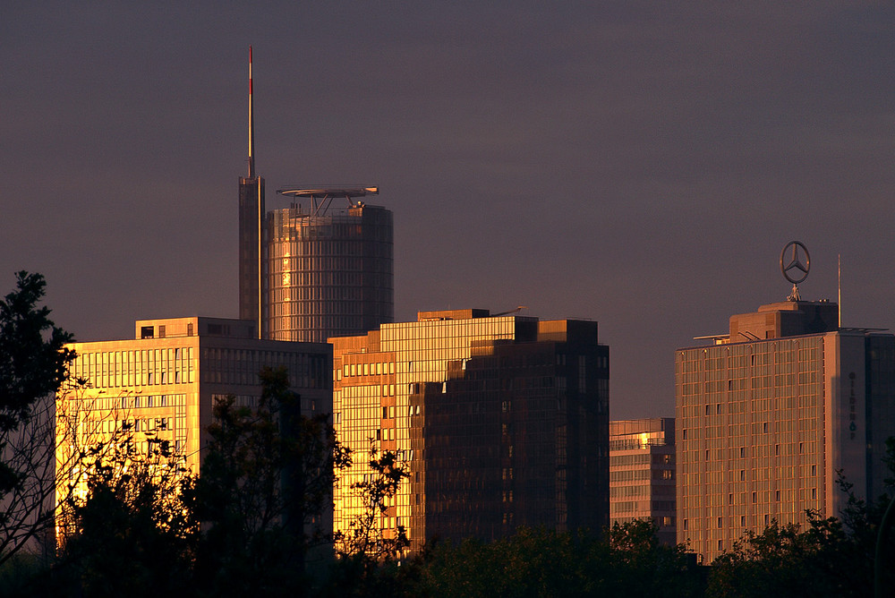 herbstmorgen in der stadt