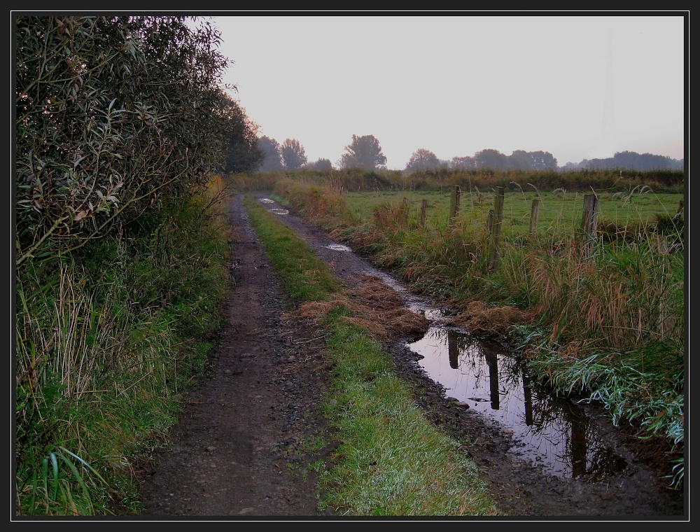 Herbstmorgen in der Wesermarsch