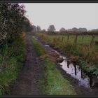 Herbstmorgen in der Wesermarsch