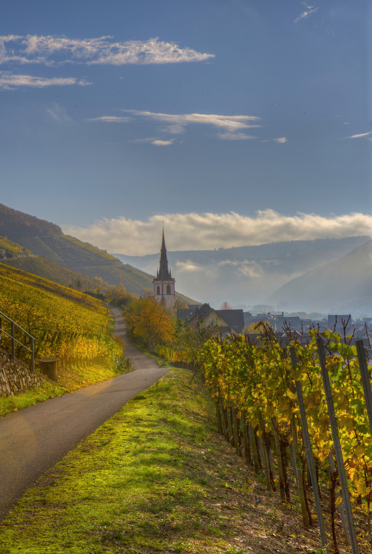 Herbstmorgen in Ediger-Eller