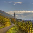 Herbstmorgen in Ediger-Eller