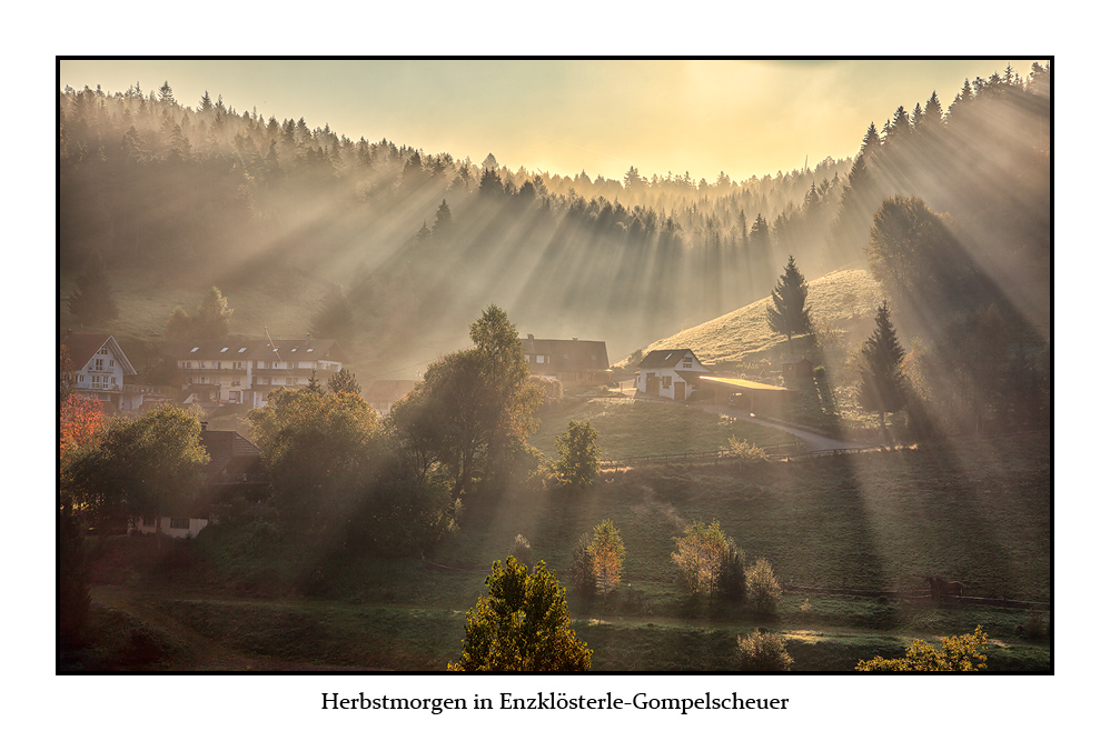 Herbstmorgen in Enzklösterle-Gompelscheuer