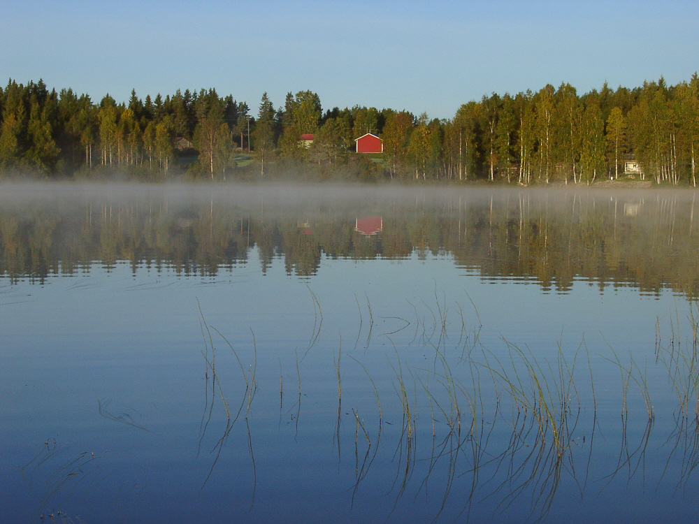 Herbstmorgen in Finnland