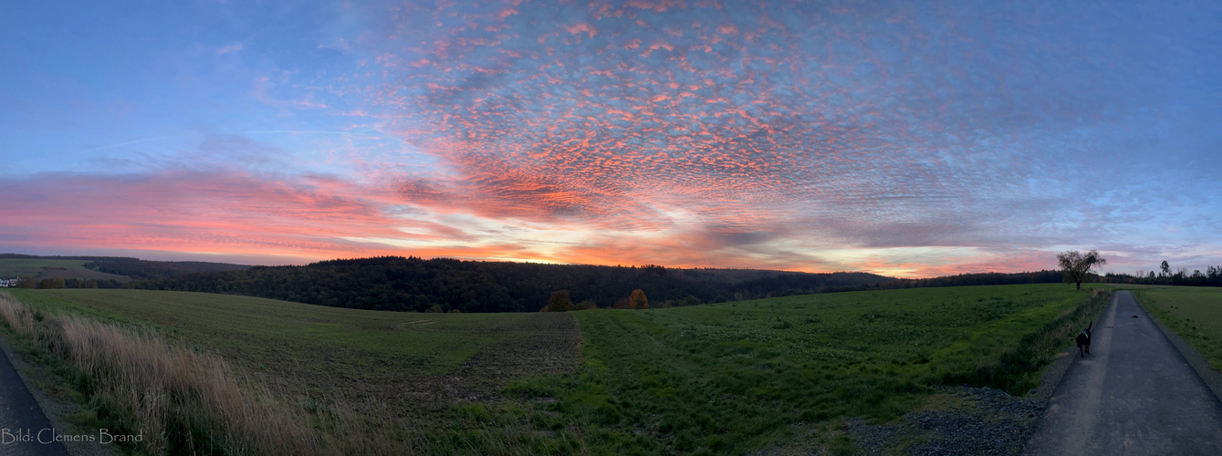 Herbstmorgen in Hohenstein-Untertaunus 