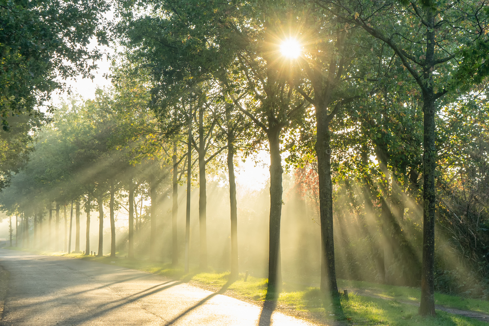 Herbstmorgen in Kamen