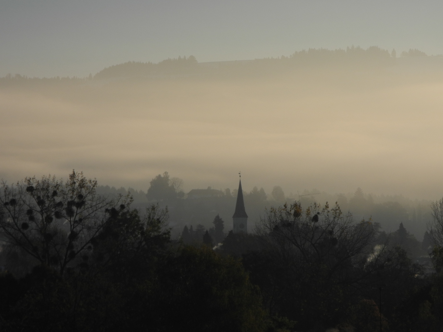 Herbstmorgen in Lindau