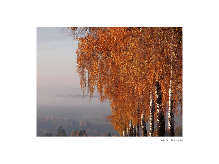 Herbstmorgen in Neukirchen