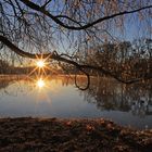 Herbstmorgen in Nymphenburger Schlosspark