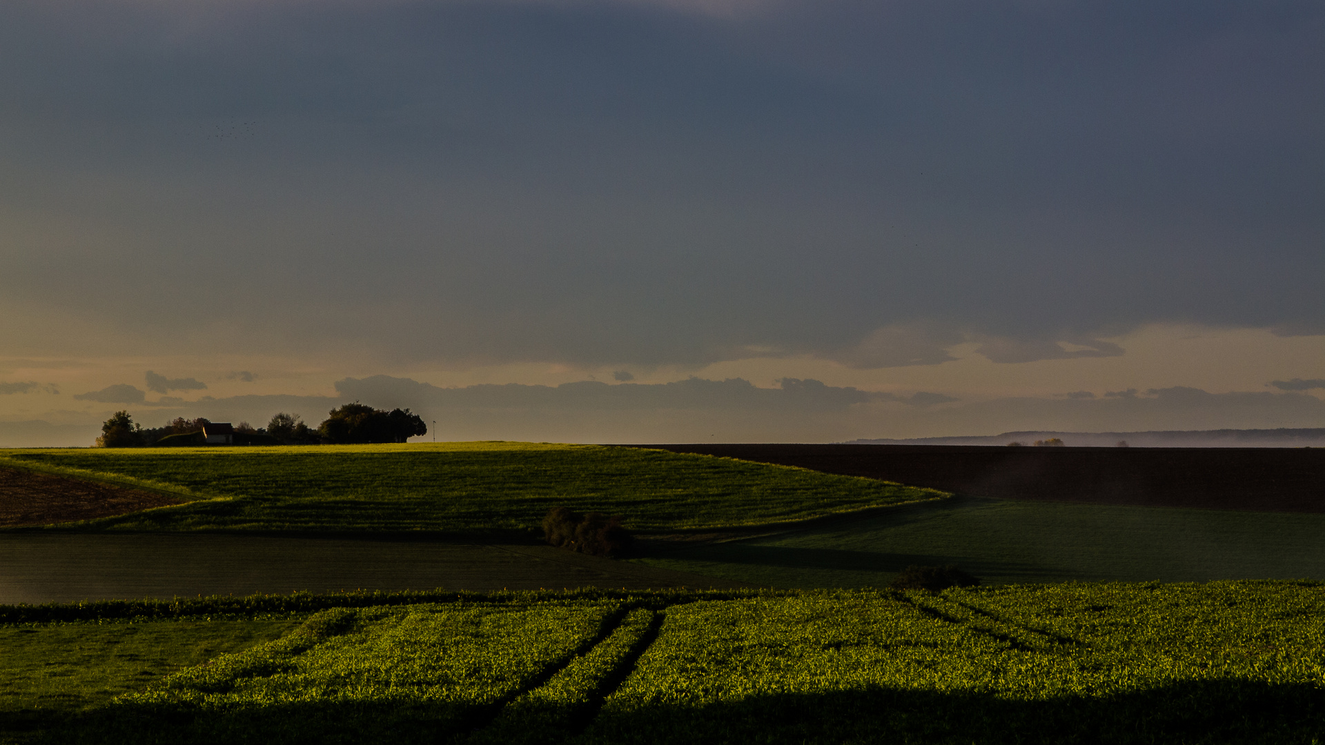 Herbstmorgen in Oberschwaben