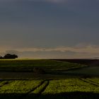 Herbstmorgen in Oberschwaben