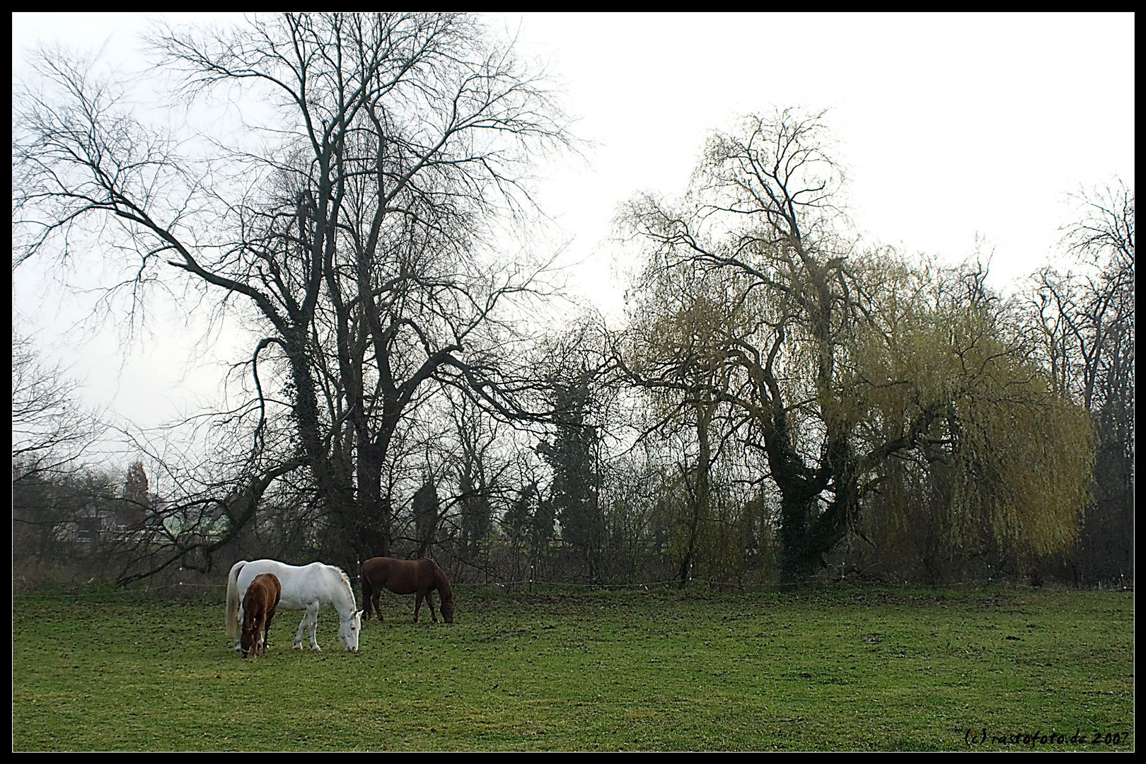 Herbstmorgen in R.