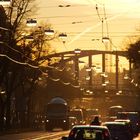 Herbstmorgen in Wien