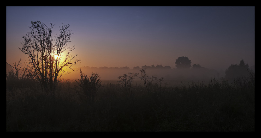 Herbstmorgen IV