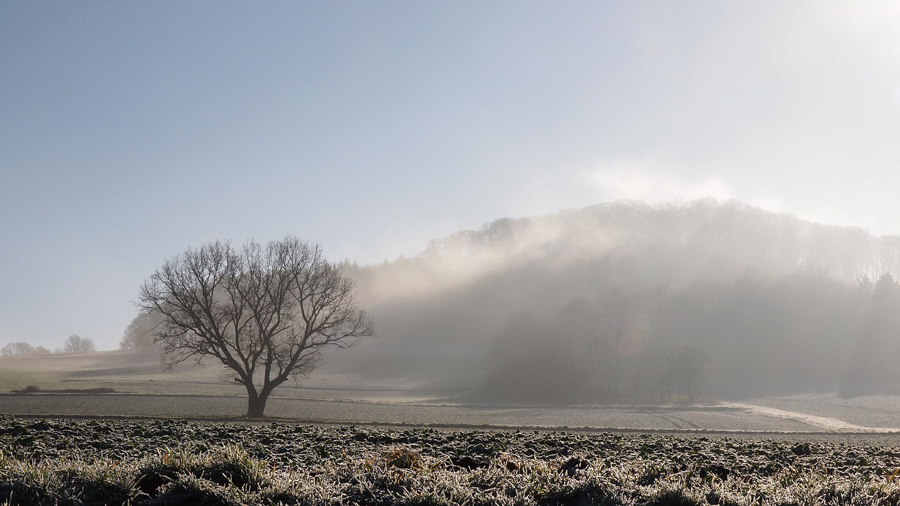 Herbstmorgen, Knüllgebirge