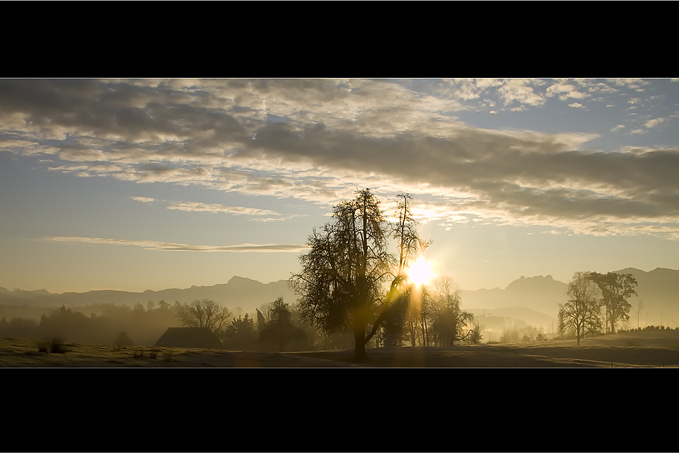 Herbstmorgen ll