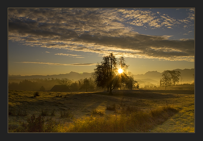 Herbstmorgen lll