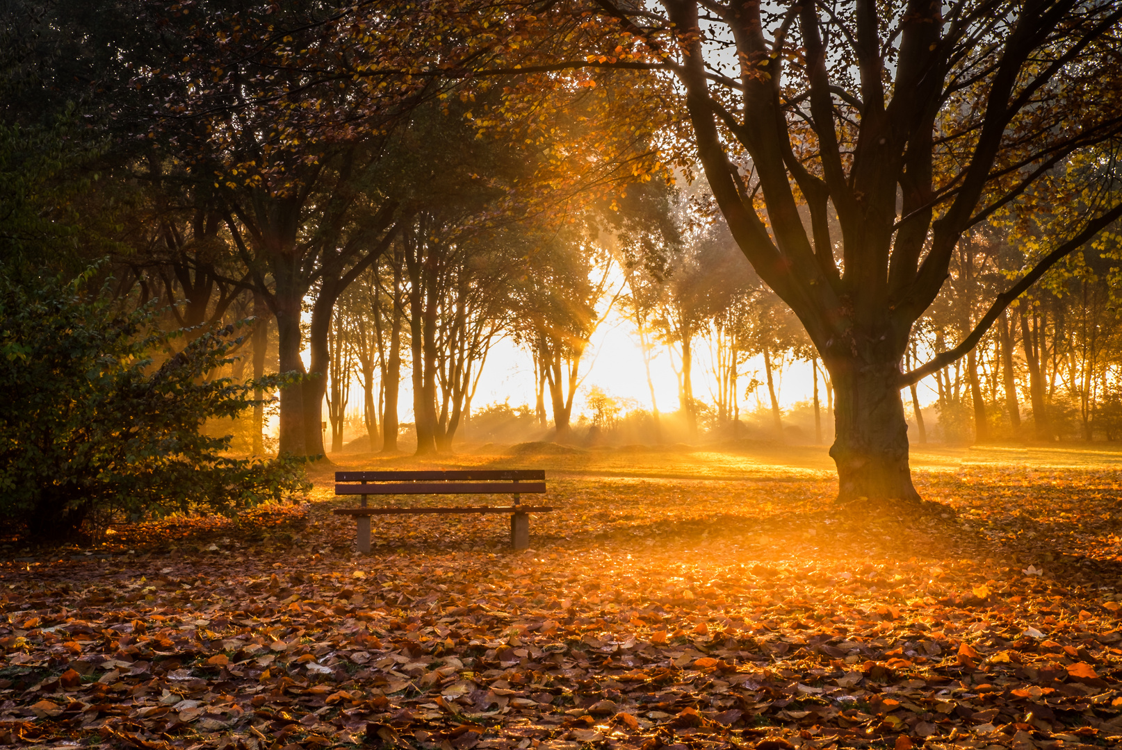 Herbstmorgen / Moers