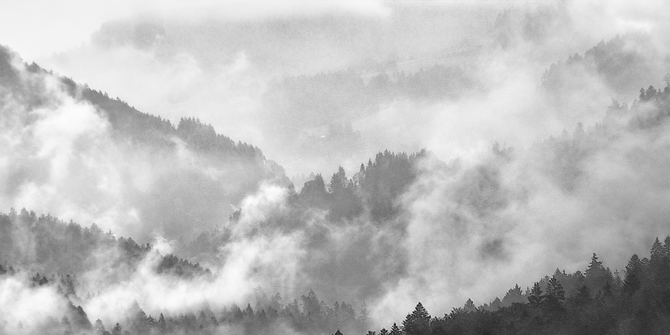 Herbstmorgen Panorama