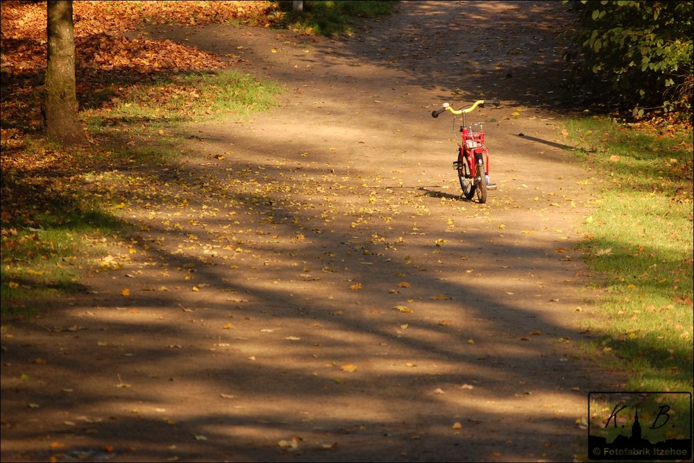 Herbstmorgen Teil 2