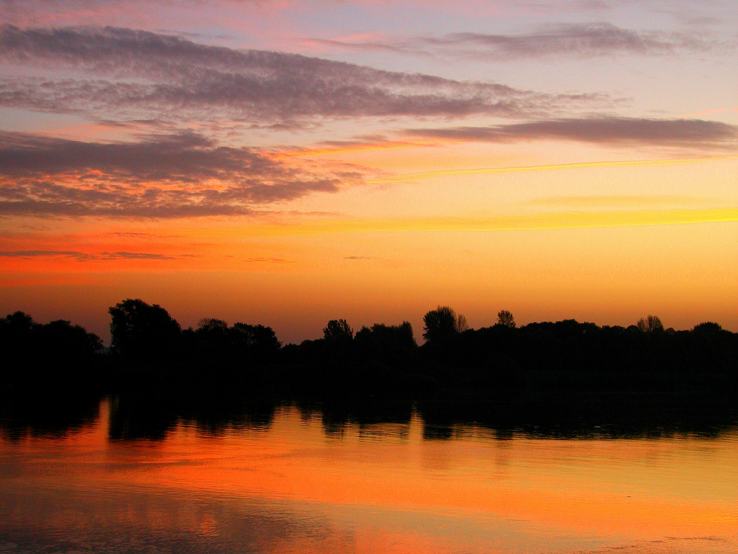 Herbstmorgen über der Elbe