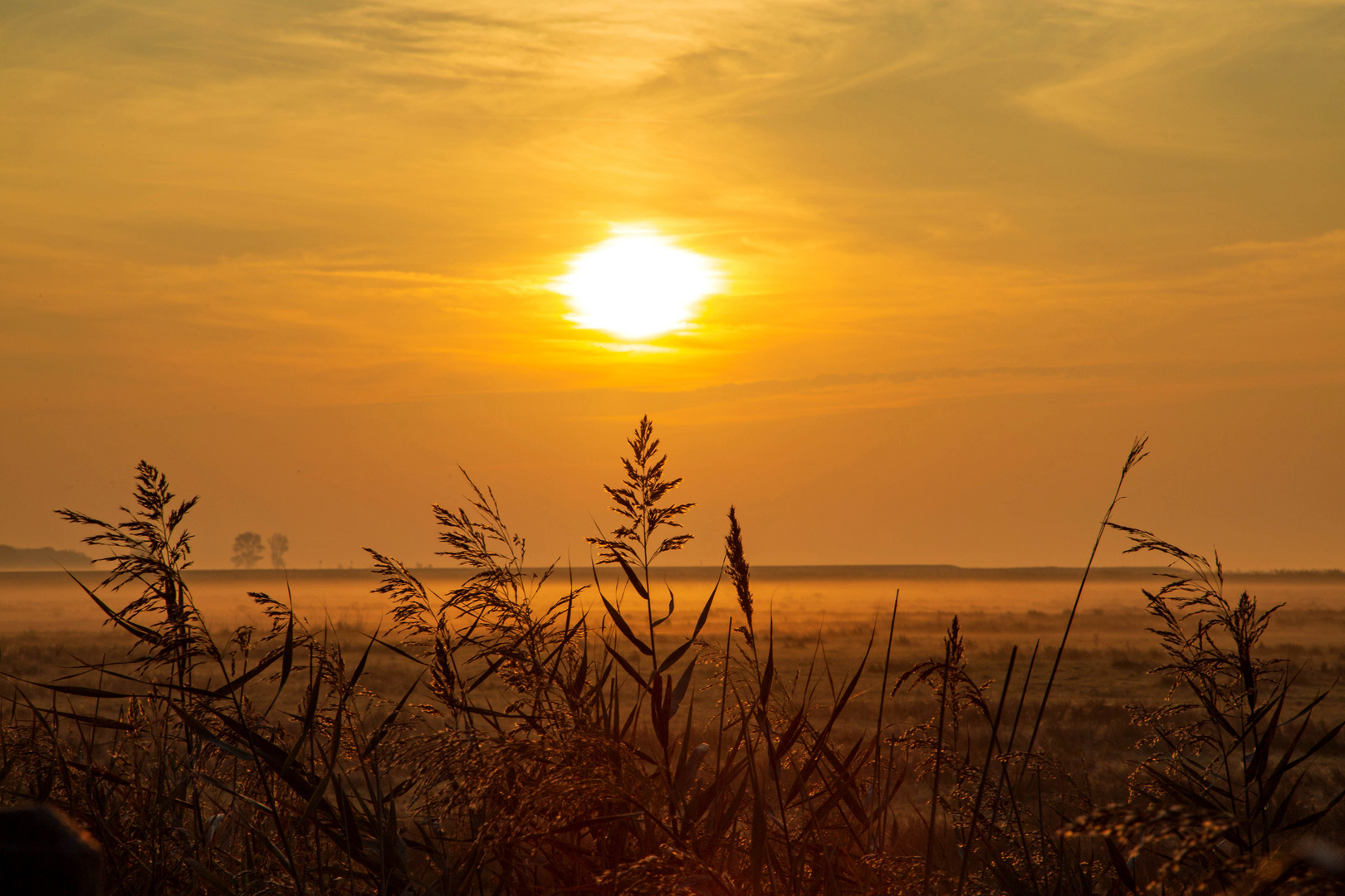 Herbstmorgen über der Insel Kirr