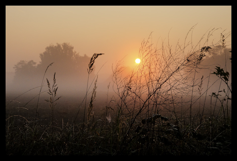 Herbstmorgen V