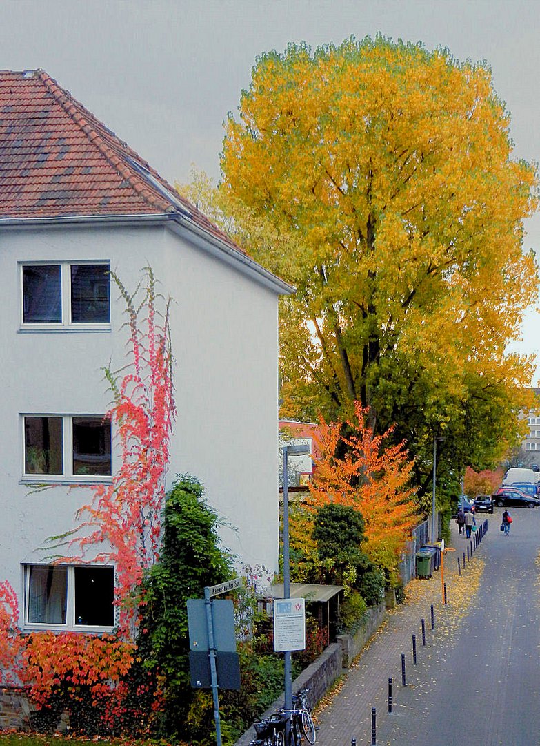 Herbstmorgen vor meiner Wohnung